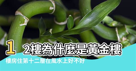 7樓禁忌|7樓為什麼不吉利 有什麼說法嗎 有講究嗎